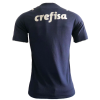 Men's Authentic SE Palmeiras Third Away Soccer Jersey Shirt 2021/22 Puma
