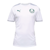 Men's Replica SE Palmeiras Training Soccer Jersey Shirt 2021/22 Puma