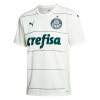 Men's Replica SE Palmeiras Away Soccer Jersey Shirt 2022/23 Puma