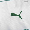 Men's Replica SE Palmeiras Away Soccer Jersey Shirt 2022/23 Puma