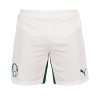 Men's SE Palmeiras Away Soccer Shorts 2022/23 Puma