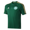 Men's Retro 2014/15 SE Palmeiras 100th Anniversary Soccer Jersey Shirt Adidas