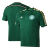 Men's Retro 2014/15 SE Palmeiras 100th Anniversary Soccer Jersey Shirt Adidas