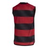 Adidas CR Flamengo Sleeveless Training Vest 23/24 - Red&Black