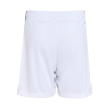 Men's Bayern Munich Third Away Soccer Shorts 2021/22 Adidas