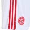 Men's Bayern Munich Third Away Soccer Shorts 2021/22 Adidas