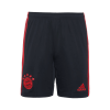 Men's Bayern Munich Trikot Champion Leauge Soccer Shorts 2022/23 Adidas