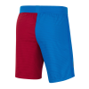 Men's Barcelona Home Soccer Shorts 2021/22 Nike