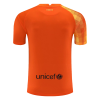 Men's Replica Barcelona Goalkeeper Soccer Jersey Shirt 2021/22 Nike