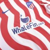 Men's Replica Atletico Madrid Home Long Sleeves Soccer Jersey Shirt 2022/23 Nike