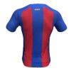 Men's Authentic Barcelona Home Soccer Jersey Shirt 2023/24 Nike