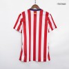 Men's Authentic Atletico Madrid Home Soccer Jersey Shirt 2023/24 Nike