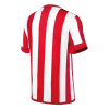Men's Chivas Guadalajara 115-Years Retro Soccer Jersey Shirt Puma| Pro Jersey Shop