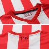 Men's Retro Replica Chivas Guadalajara Home 115-Years Retro Long Sleeves Soccer Jersey Shirt Puma