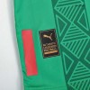 Men's Replica Chivas Special Soccer Jersey Shirt 2022/23 Puma