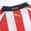 Men's Replica Chivas Special Soccer Jersey Shirt 2022/23 Puma