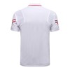 Men's PSG Core Polo Shirt 2021/22 Jordan