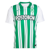 Men's Replica Atlético National Home Soccer Jersey Shirt 2022 Nike
