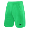 Men's Liverpool Goalkeeper Soccer Shorts 2021/22 Nike