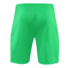Men's Liverpool Goalkeeper Soccer Shorts 2021/22 Nike