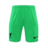 Men's Liverpool Goalkeeper Soccer Jersey Kit (Jersey+Shorts) 2021/22 Nike