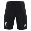 Men's Liverpool Goalkeeper Soccer Shorts 2021/22 Nike