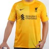 Men's Replica Liverpool Goalkeeper Soccer Jersey Shirt 2021/22 Nike
