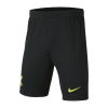 Men's Tottenham Hotspur Away Soccer Shorts 2021/22 Nike