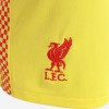 Men's Liverpool Third Away Soccer Shorts 2021/22 Nike