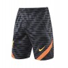 Men's Liverpool Training Soccer Shorts 2021/22 Nike