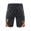 Men's Liverpool Training Soccer Shorts 2021/22 Nike