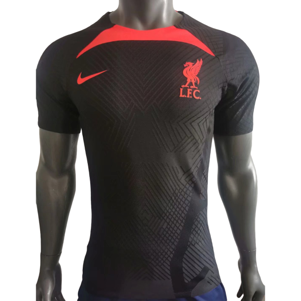 Men's Authentic Liverpool Pre-Match Training Soccer Jersey Shirt 2022/23 Nike