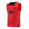 Men's Liverpool Soccer Sleeveless Training Kit (Top+Shorts) 2022/23 Nike