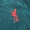 Men's Replica Liverpool Third Away Long Sleeves Soccer Jersey Shirt 2022/23 Nike