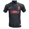 Men's Authentic Liverpool X LeBron James Pre-Match Soccer Jersey Shirt 2022/23 Nike