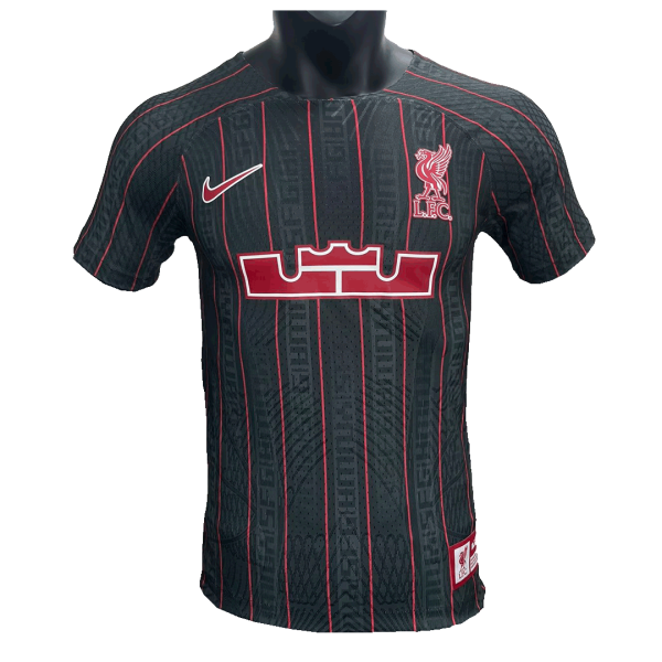 Men's Authentic Liverpool X LeBron James Pre-Match Soccer Jersey Shirt 2022/23 Nike