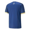 Men's Replica Manchester City Chinese New Year Limited Edition Soccer Jersey Shirt 2022/23 Puma