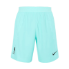 Men's Liverpool Away Soccer Shorts 2020/21 Nike