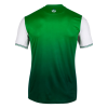 Men's Replica Hibernian Home Soccer Jersey Shirt 2021/22 Joma