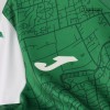 Men's Replica Hibernian Home Soccer Jersey Shirt 2021/22 Joma