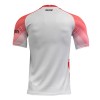 Men's Replica Napoli Valentine's Day Soccer Jersey Shirt 2022/23 EA7