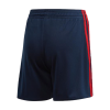 Men's Japan Home Soccer Shorts 2020 Nike