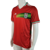 Men's Replica Iran Away Soccer Jersey Shirt 2022 | Iran