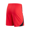 Men's World Cup South Korea Home Soccer Shorts 2022 Nike - World Cup 2022