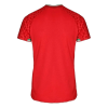 Men's Replica Iran Away Soccer Jersey Shirt 2022 - World Cup 2022