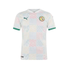 Men's Replica Senegal Home Soccer Jersey Shirt 2020 Puma