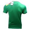 Men's Replica Cameroon Home Soccer Jersey Shirt 2021/22 Le Coq Sportif