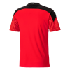 Men's Replica Egypt Home Soccer Jersey Shirt 2020/21 Puma