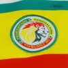 Kids Senegal Home Soccer Jersey Kit (Jersey+Shorts) 2022/23 Puma - World Cup 2022