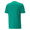 Men's Replica Senegal Away Soccer Jersey Shirt 2022 Puma - World Cup 2022